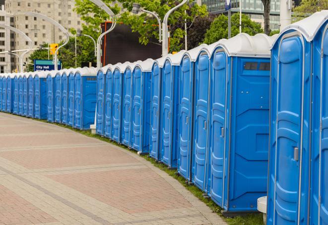 Seasonal porta potty units set up at a Rome, New York venue